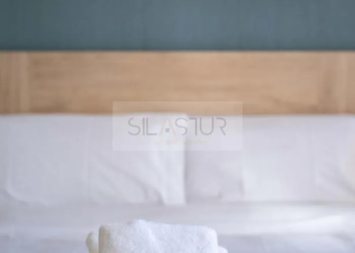 公寓 Vallesol By Silastur